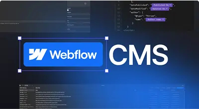 Webflow CMS interface