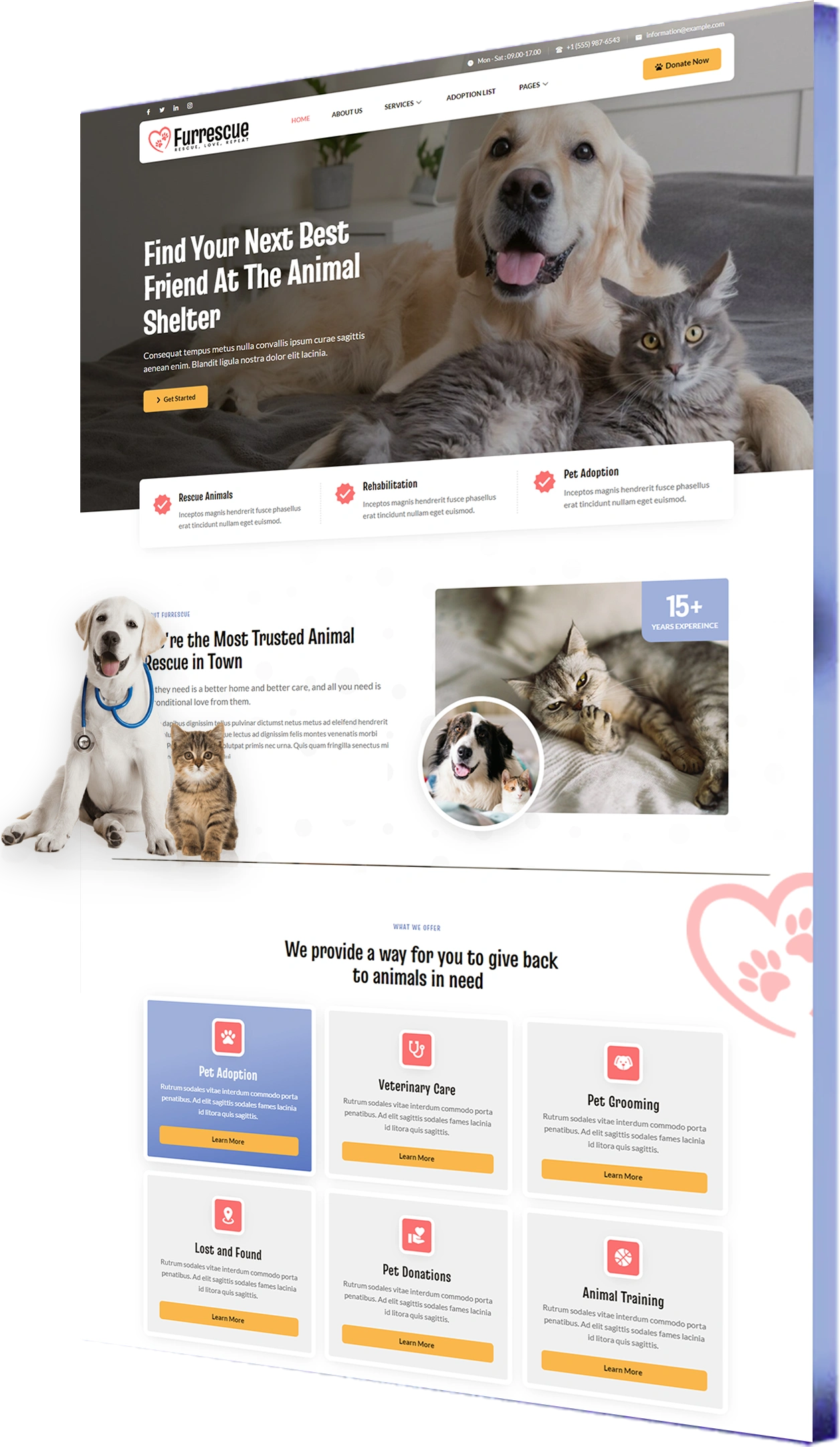 Pet Rescue Website Design