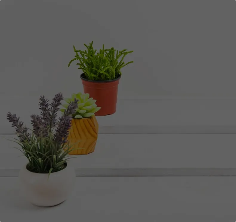 Plant WordPress Website