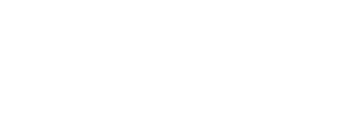 Pet Care Web Solutions